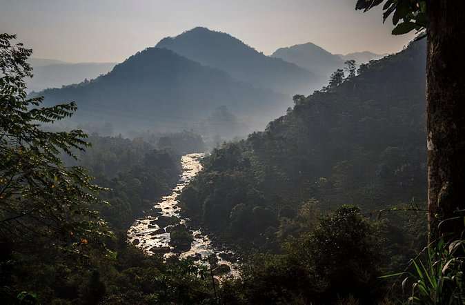 Kitugala Forest