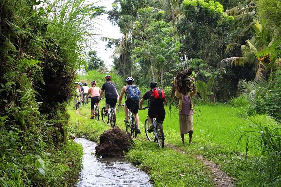 Mountain Bike Tour