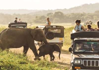 safari srilanka